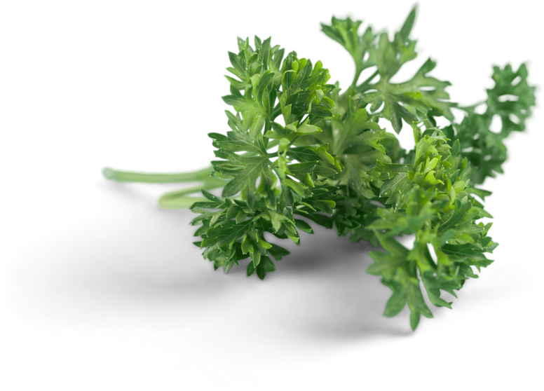 Parsley