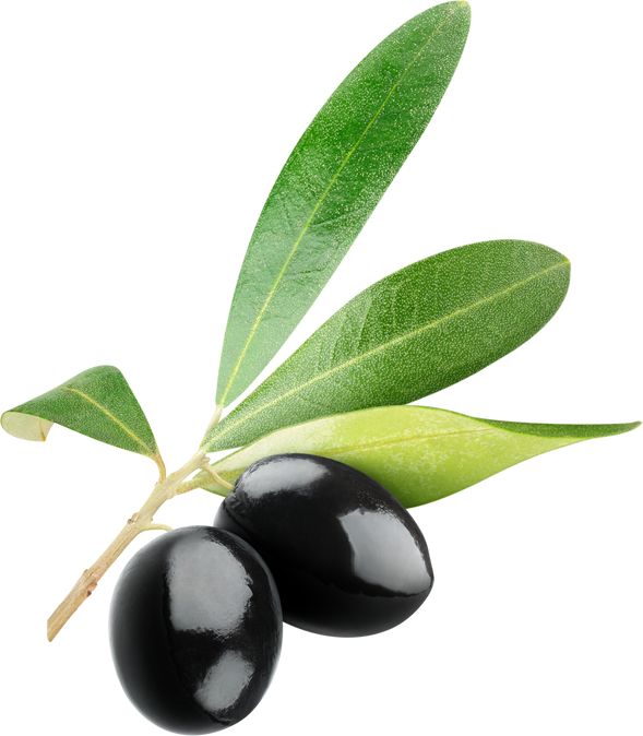 Black Olives