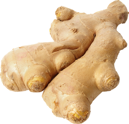 Ginger Root