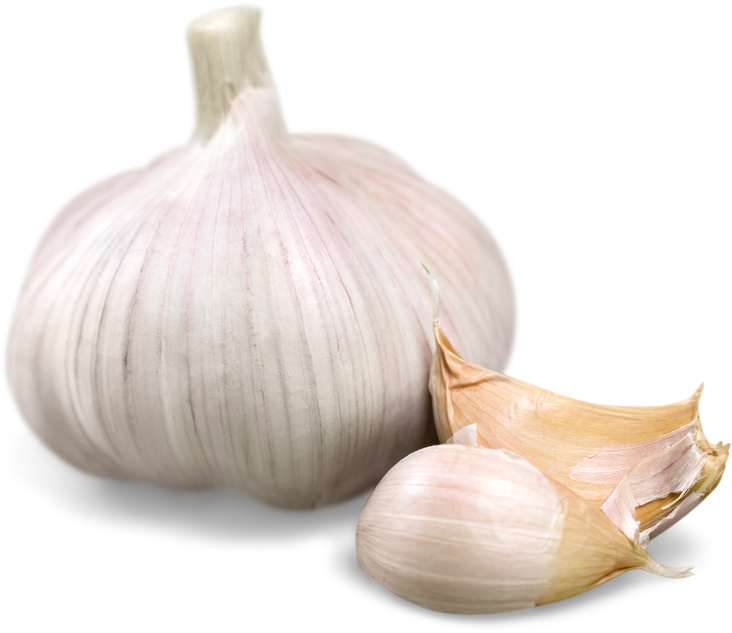 Clove of Garlic 