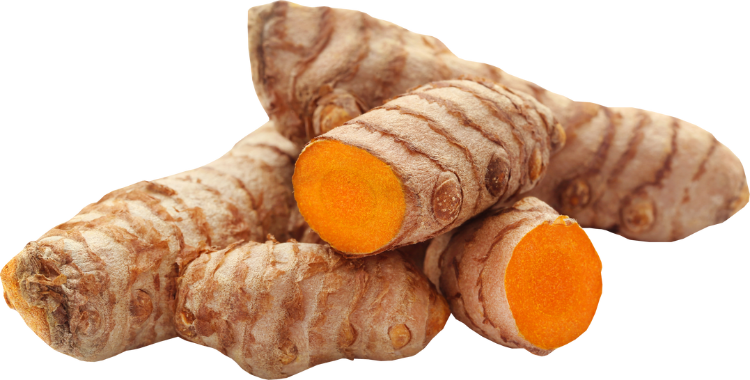 Raw Turmeric